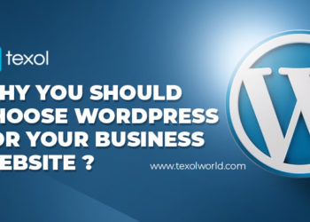 Why You Should Choose WordPress For Your Business Website