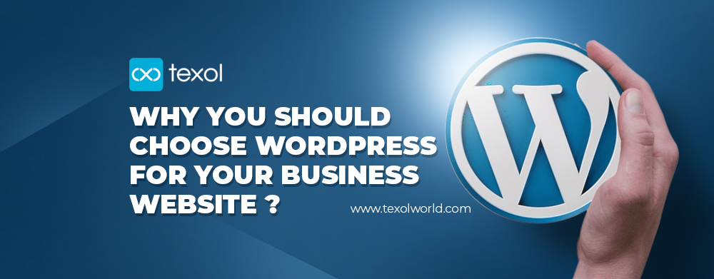 texol-blog-why-you-should-choose-wordpress-for-your-business-website