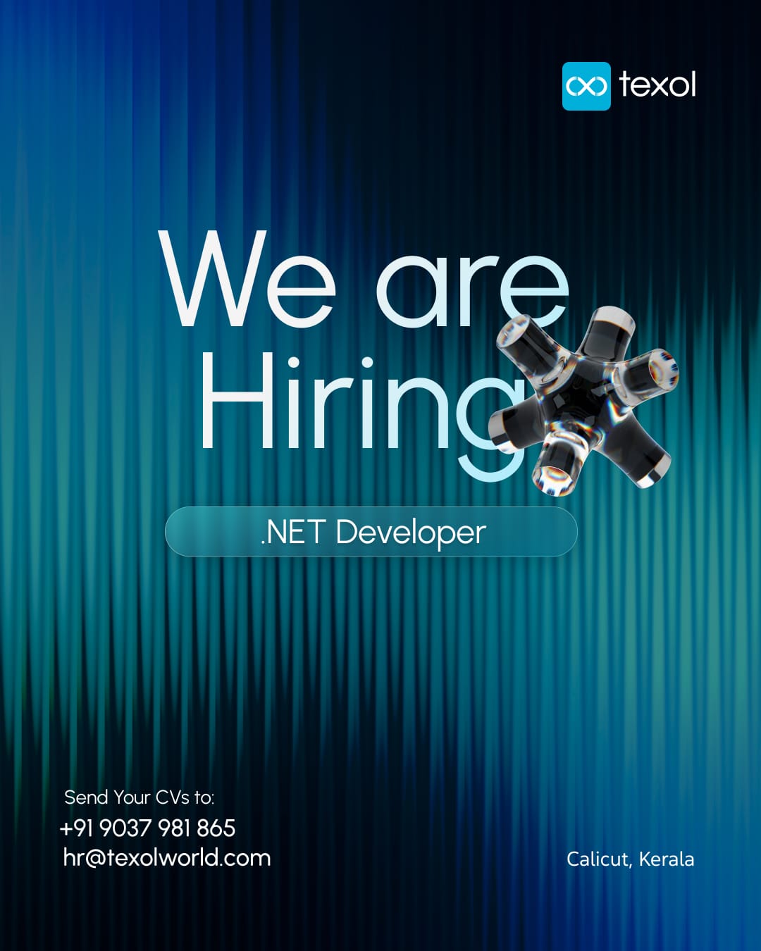 .NET Developer